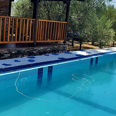 Vip Pool